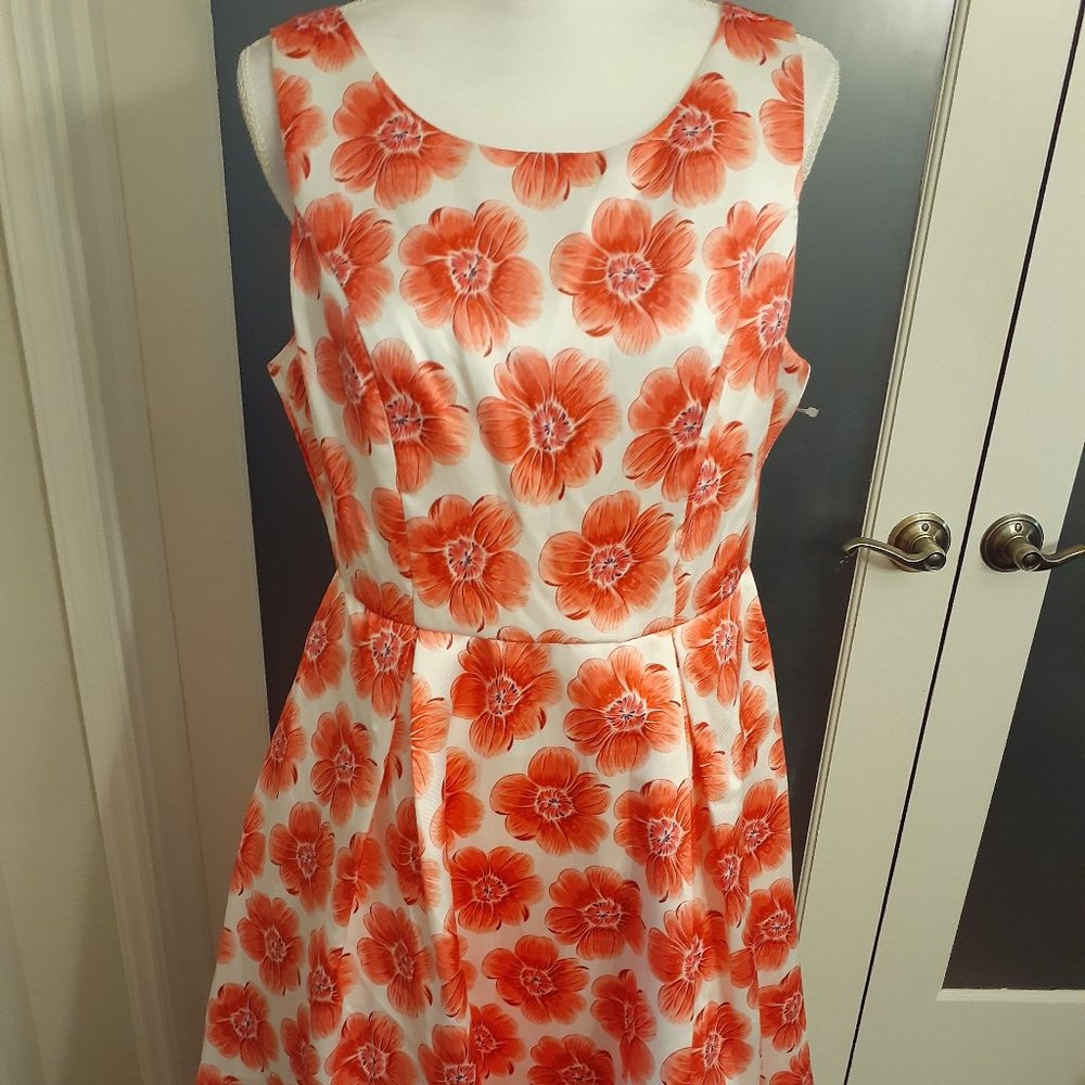 NWT - Dress, Pockets, Lined and with Tulle at the bottom